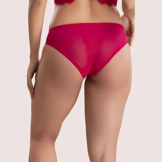 Beautiful Pink Lace Bikini Panties